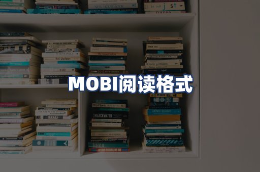 MOBI阅读格式